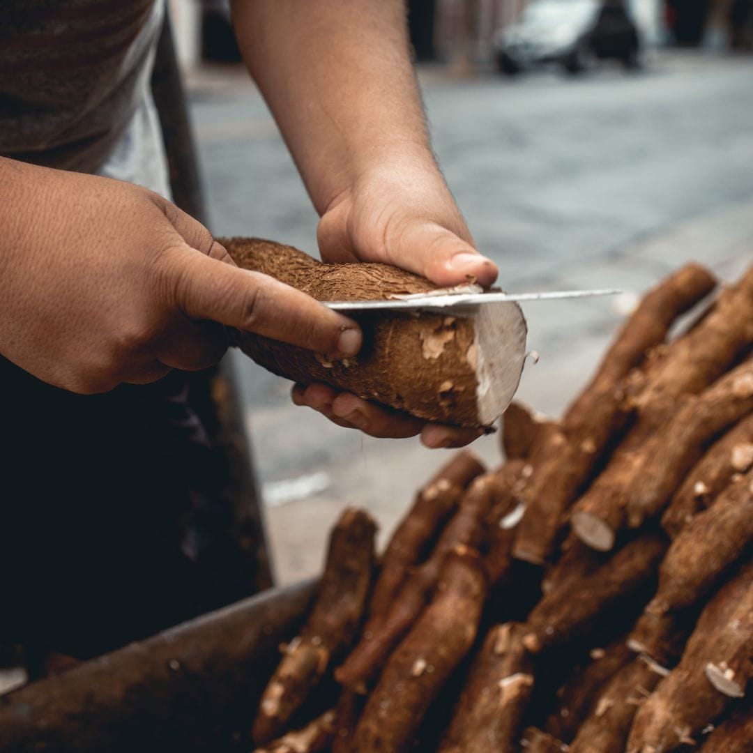 person peeling cassava